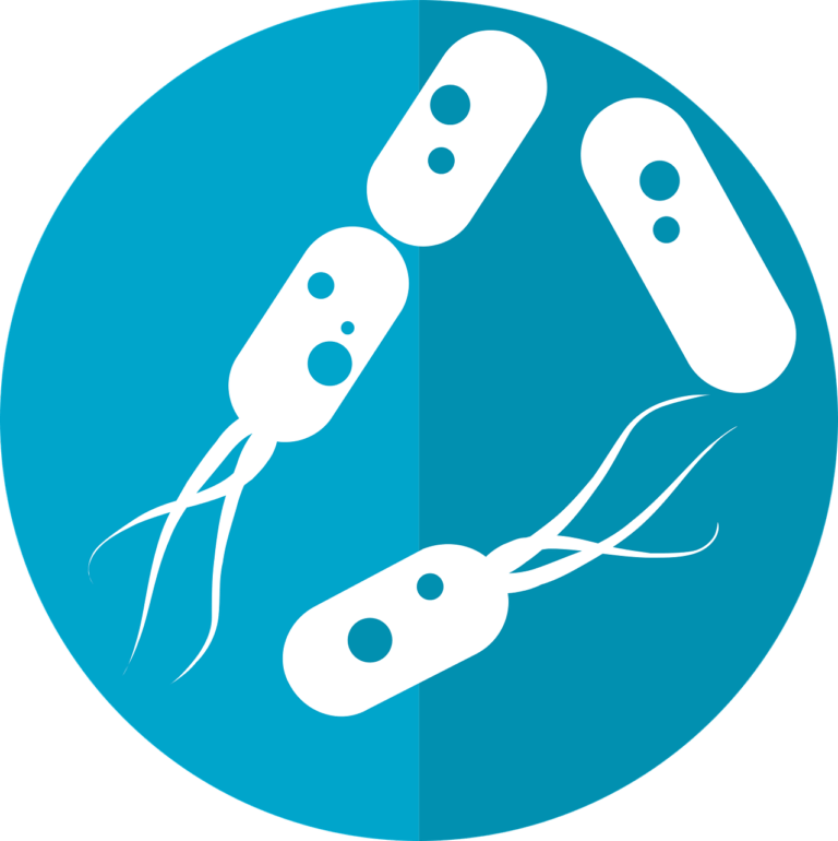 Understanding the Causes of IBS: From Genetics to Gut Microbiota